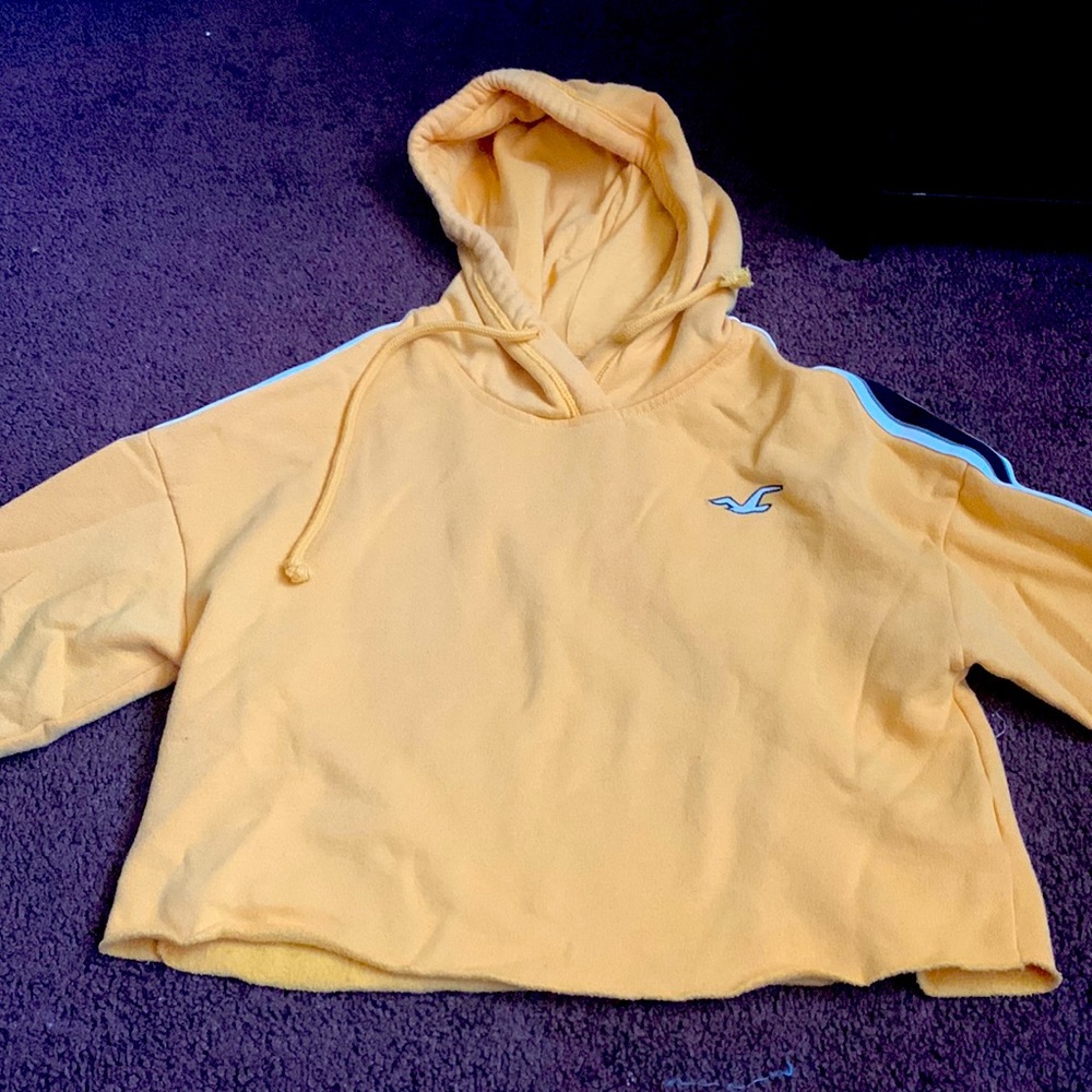 Holister sweatshirt